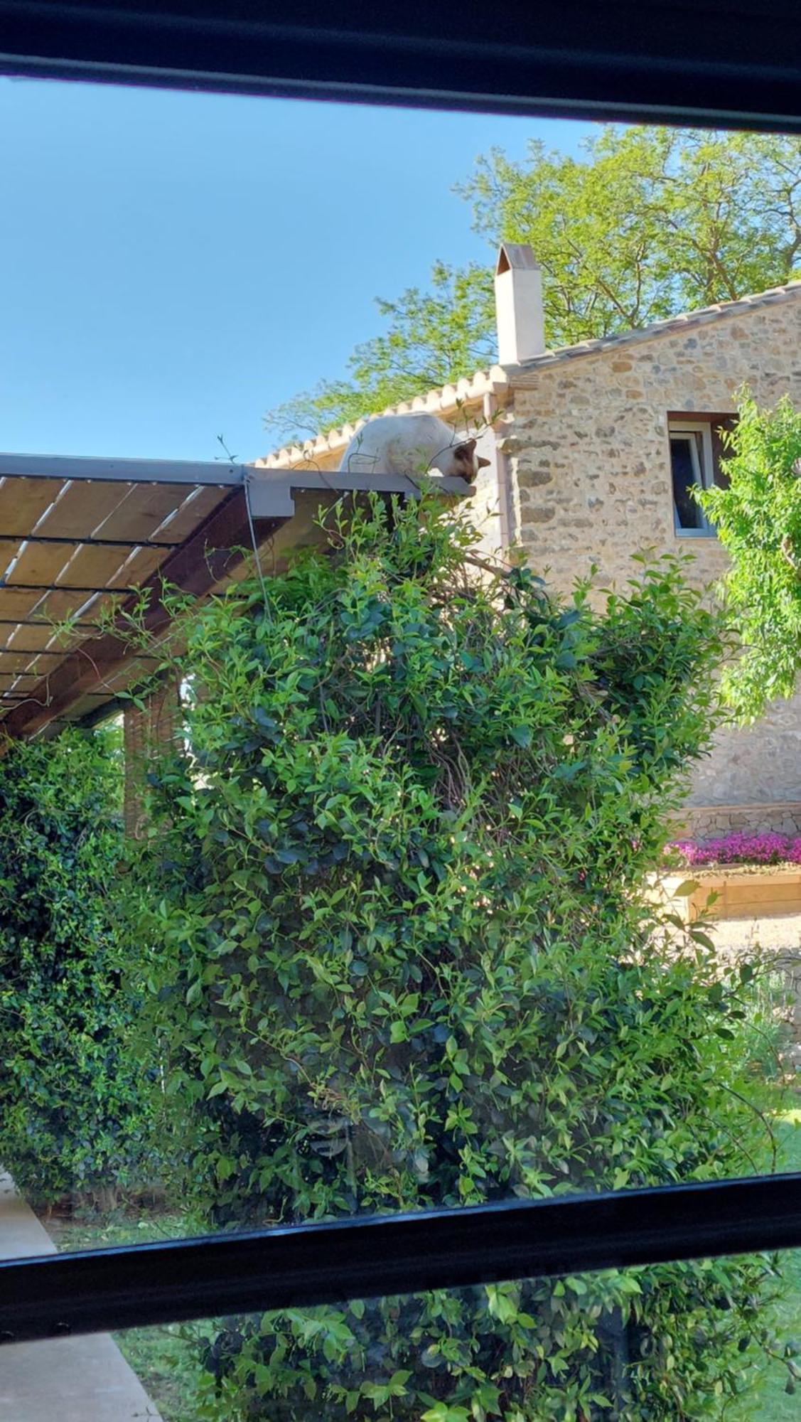Mas Ferran Adults Only Bed & Breakfast Pals Dış mekan fotoğraf